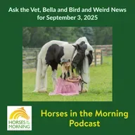 Ask the Vet, Bella and Bird and Weird News for September 3, 2025