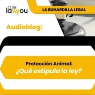 Protección Animal: ¿Qué estipula la ley?