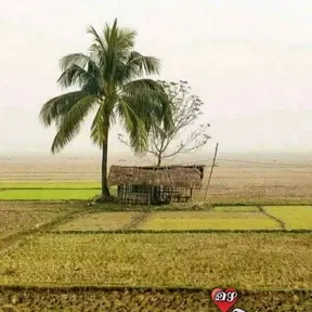 Malayalam Gazal