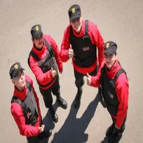 Siglo Seguridad Online