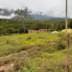 Cabeça de gelo