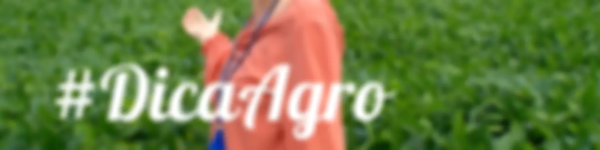 #DicaAgro com Claudia Adriana Görgen