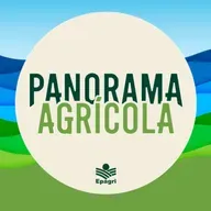 29 de maio - Após congresso nacional de apicultura e meliponicultura, Santa Catarina se prepara para a Feira do Mel