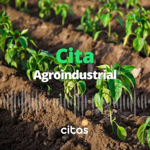 #65 El campo, las retenciones y qué hacemos? - Pedro Vignau (Cita Agroindustrial)