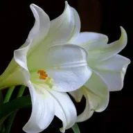 Claudio 28 oct 2024.mp3