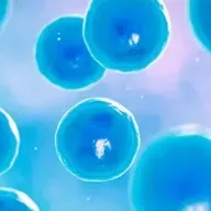 Audioblog. Procedimientos para llegar a un estado pluripotente