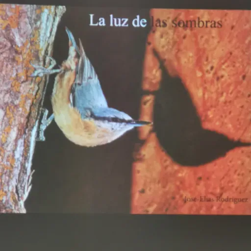 La Luz de las Sombras
