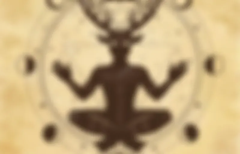 Weird, Wise, and Stupid