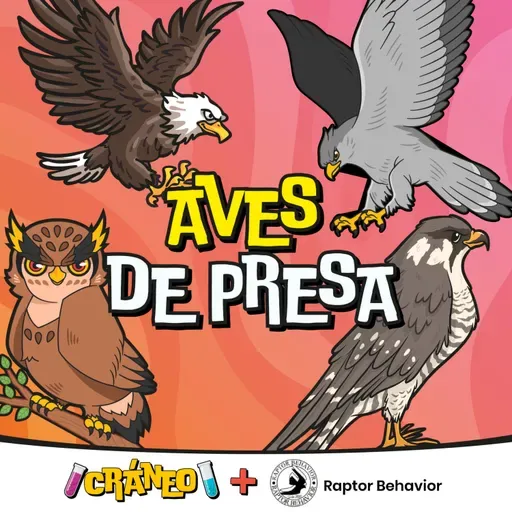 Aves de presa