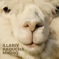 Illariy Paqucha Michiq - Episodio 78