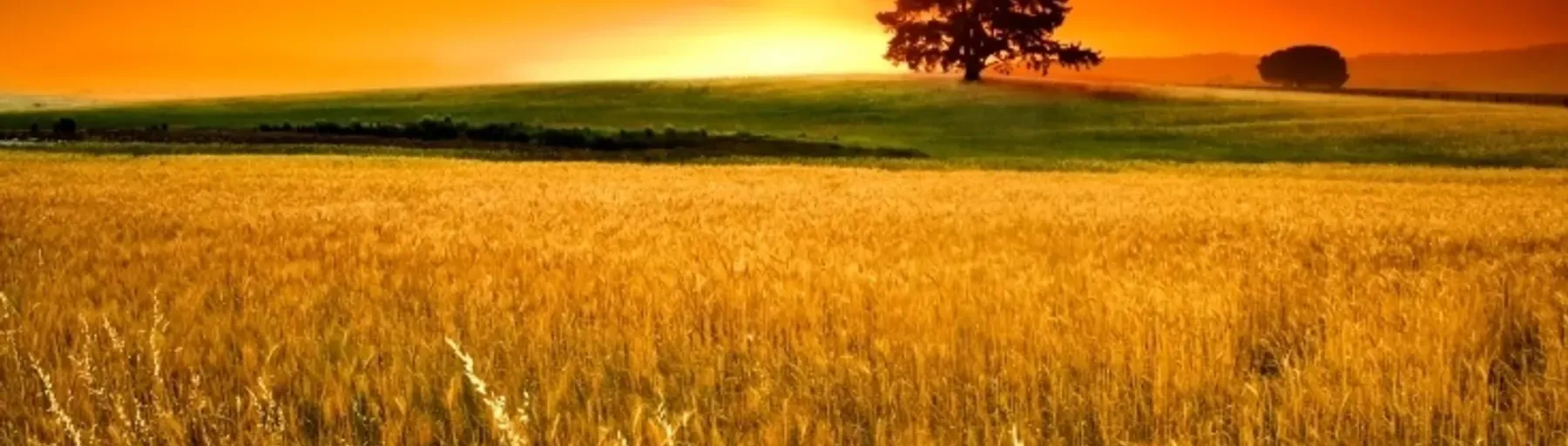 Top Country Music