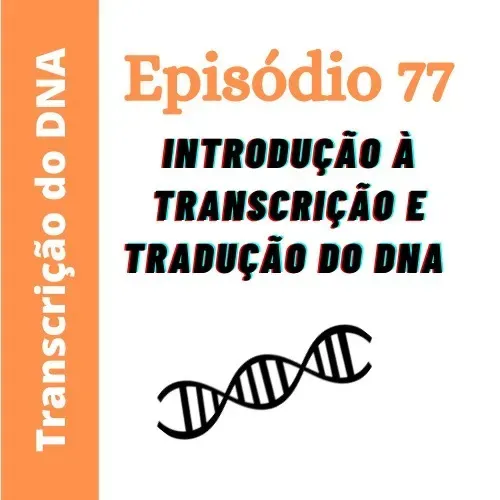 Ep77 - Introdução à transcrição e tradução do DNA