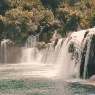 Deep Forest Waterfall and River Ambience