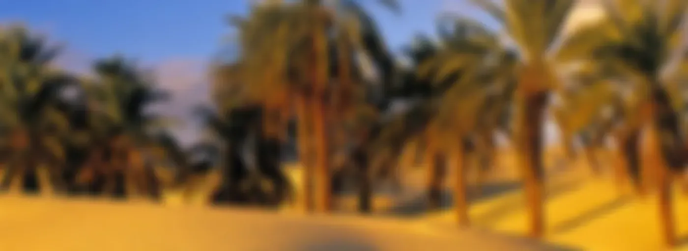 كلمات الحياة" ، "الأخبار السارة" ، "ترانيم الإنجيل" - اللغات الرئيسية المستخدمة في تونس" // "Words of Life", "Good News", "Gospel Songs" - Major Languages Spoken in Tunisia /