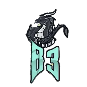 BD13BR 001