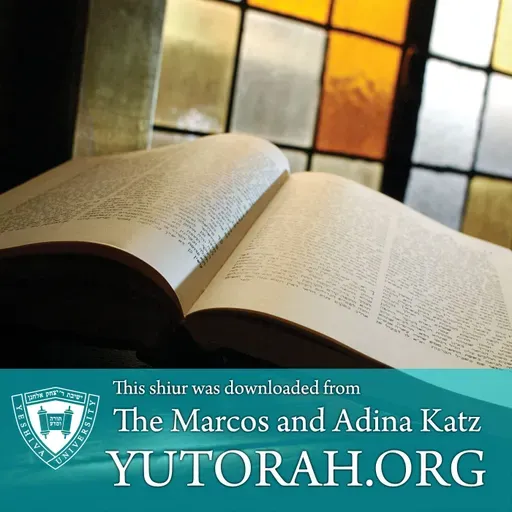 Hilchos Shabbos No. 57 - Makeh BePatish Part 3