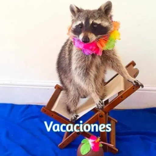 MCSF 18-04-23 episodio 105