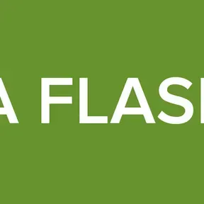 BONJA FLASH HITS