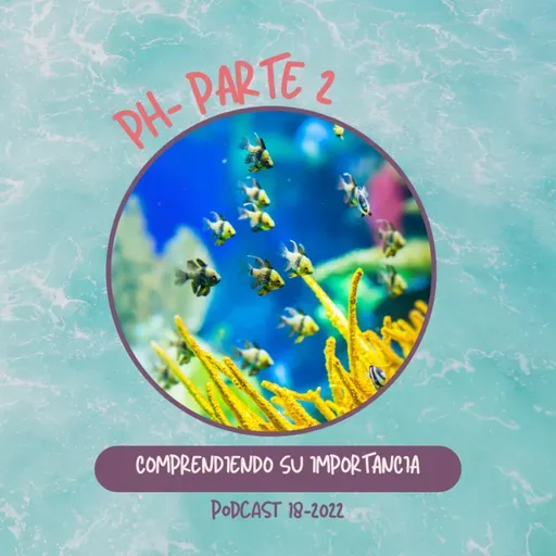 El pH en el acuario marino - Parte II