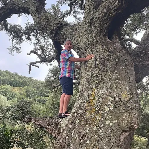 Dial Interior ( 64 -Josep Gordi ) 15 04 2026