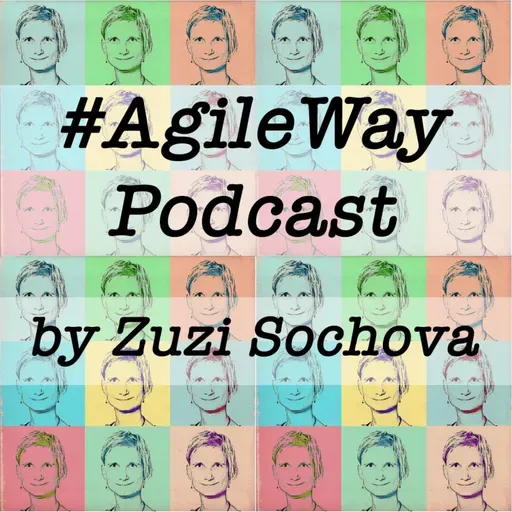 Mark Summers – Professionalize the World of Agile Coaching