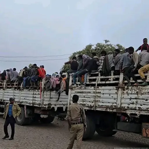 DW Amharic የጥር 29 ቀን 2018 የዜና መጽሔት