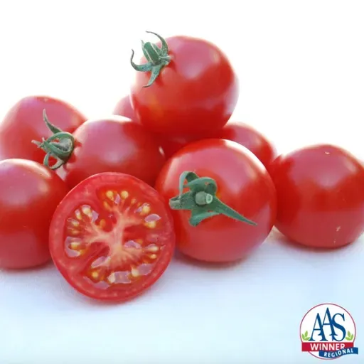 2026 All America Selections Plant Winners