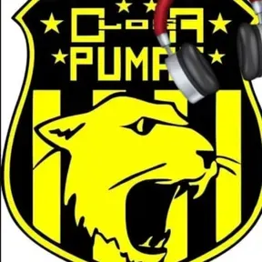 Radio Los Pumas.sj