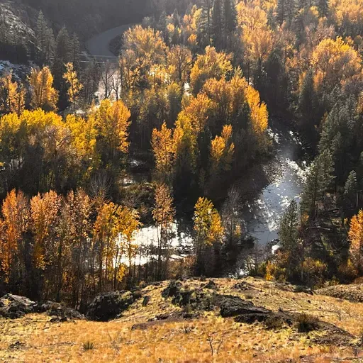 Walking the wild, mythic Edge of Being with visionary elder and soul initiator Bill Plotkin