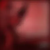 reforma.com - San Cadilla