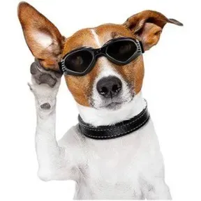 Dogys FM