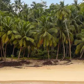 Radio Tropical
