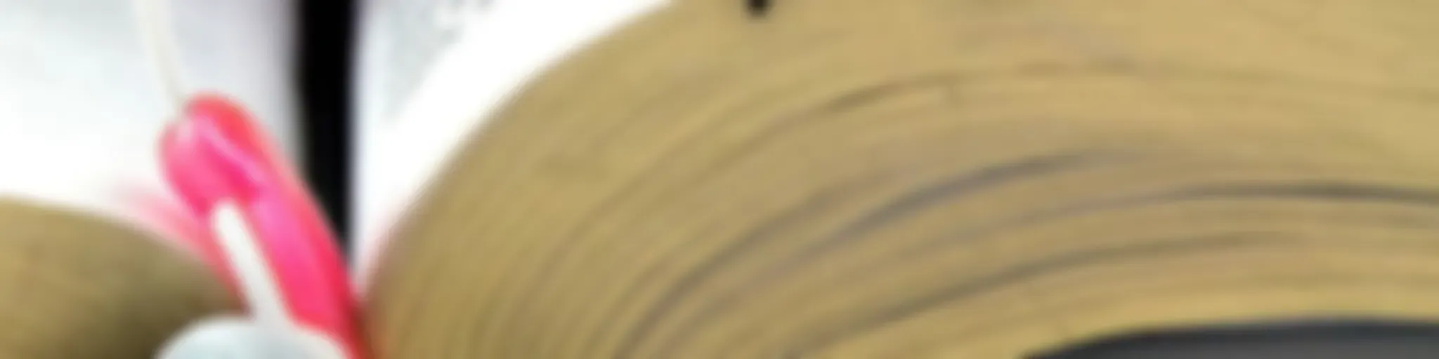 Vamos meditar na Palavra?