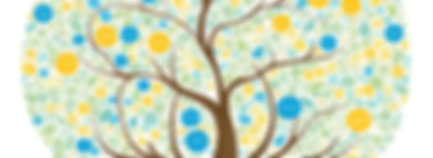 Inclusión Educativa:Un Camino para Todos