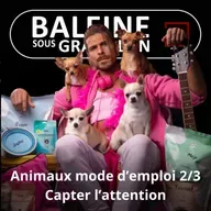 S07E60 Animaux mode d'emploi 2/3 : Jusqu'où peut-on aller trop loin ? (Yvan Kereun)