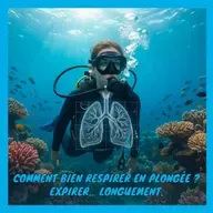 Comment bien respirer en plongée ? Expirer… longuement.
