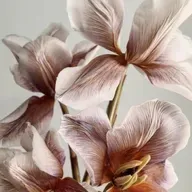 Любовь Хохлова. Я судьбу свою ненавижу...