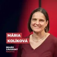 Kolíková: Celý trestný proces máme nastavený zle. Kajúcnikom sa vláda venuje až príliš detailne