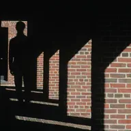 What Happened to Vladimir Alexandrov?