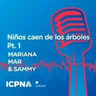 Niños caen de los árboles. Parte 1