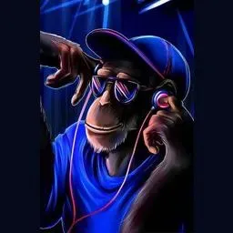 Funky Monkey Radio