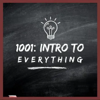 Brain Computer Interfaces | 1001: Intro to Everything podcast #6 with Ladan Jiracek