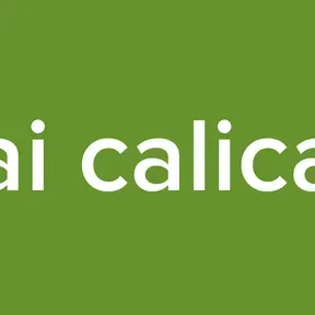 ai calica