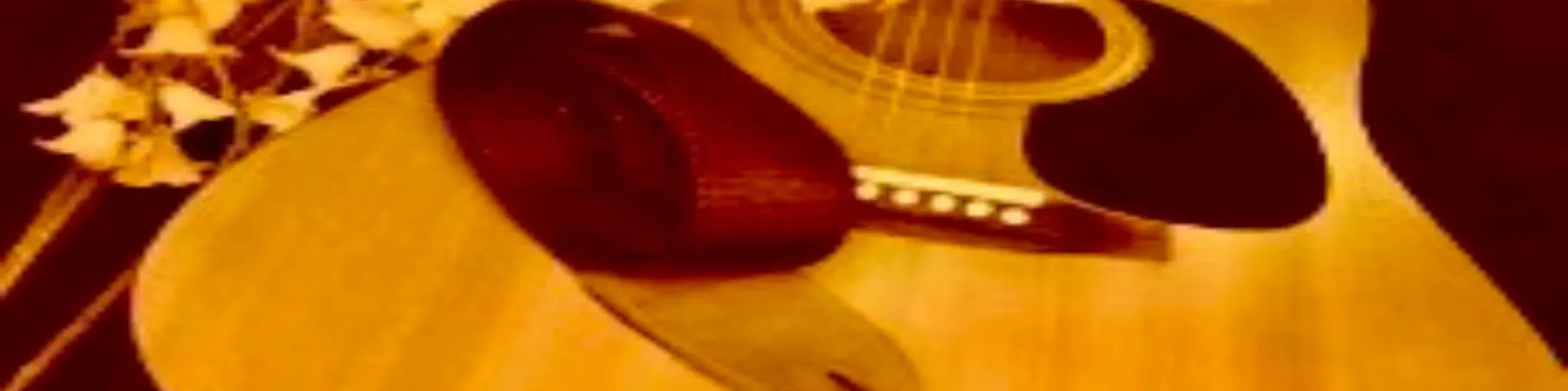 Living In California Elizabeth Vitale Radio