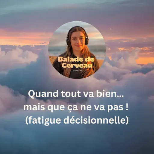 Quand tout va bien… mais que ça ne va pas (fatigue décisionnelle)