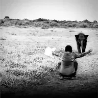 #124: Motivos para Nascer (em 2026 ou em qualquer outro ano)