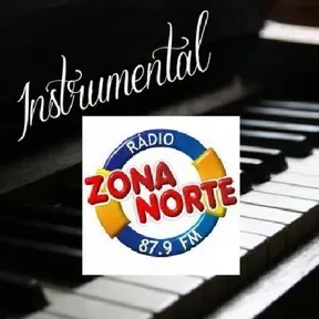 INSTRUMENTAIS DE OURO 87 FM