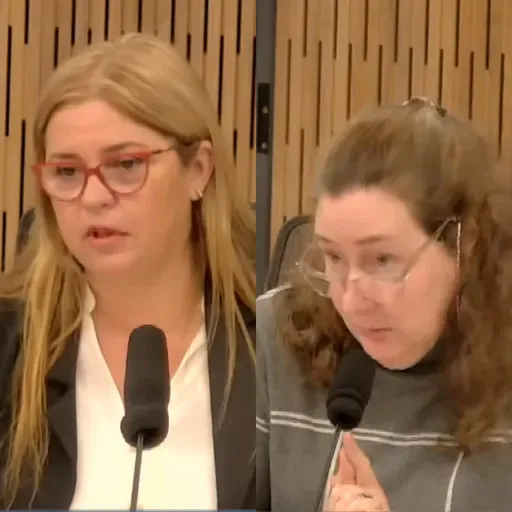 Defensoría de la Niñez - Las propuestas de Sonia Almada y Andrea Cirulli