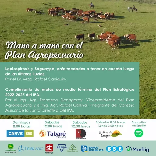 Leptospirosis y Saguaypé. Cumplimiento de metas de medio término del Plan Estratégico 2022 - 2025 del Plan Agropecuario. 