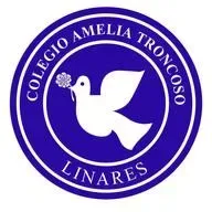 Colegio Amelia Troncoso en vivo